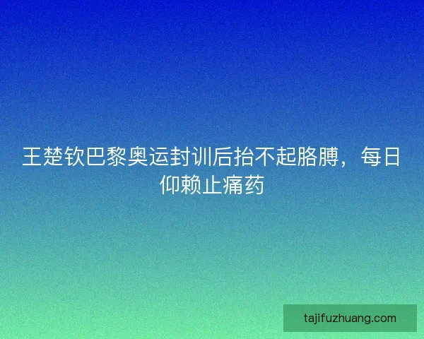 王楚钦巴黎奥运封训后抬不起胳膊,每日仰赖止痛药 王楚钦巴黎奥运封训后抬不起胳膊,每日仰赖止痛药