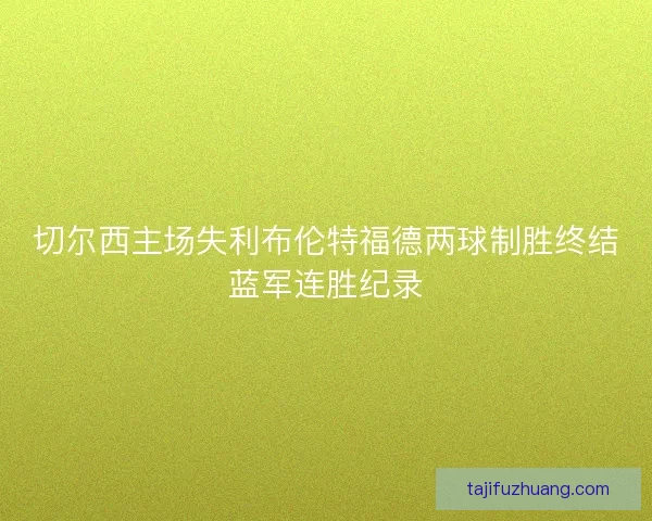 切尔西主场失利布伦特福德两球制胜终结蓝军连胜纪录