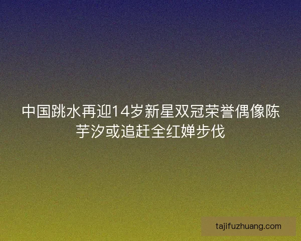 中国跳水再迎14岁新星双冠荣誉偶像陈芋汐或追赶全红婵步伐 中国跳水再迎14岁新星双冠荣誉偶像陈芋汐或追赶全红婵步伐