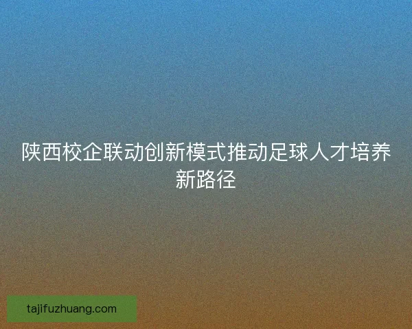陕西校企联动创新模式推动足球人才培养新路径